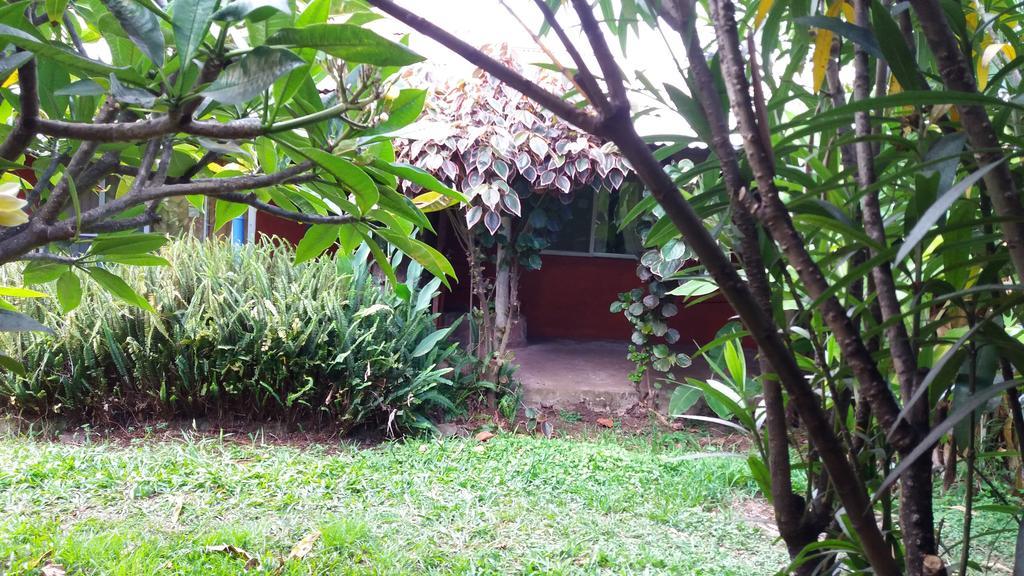 Tupa Hotel Hanga Roa Exterior foto